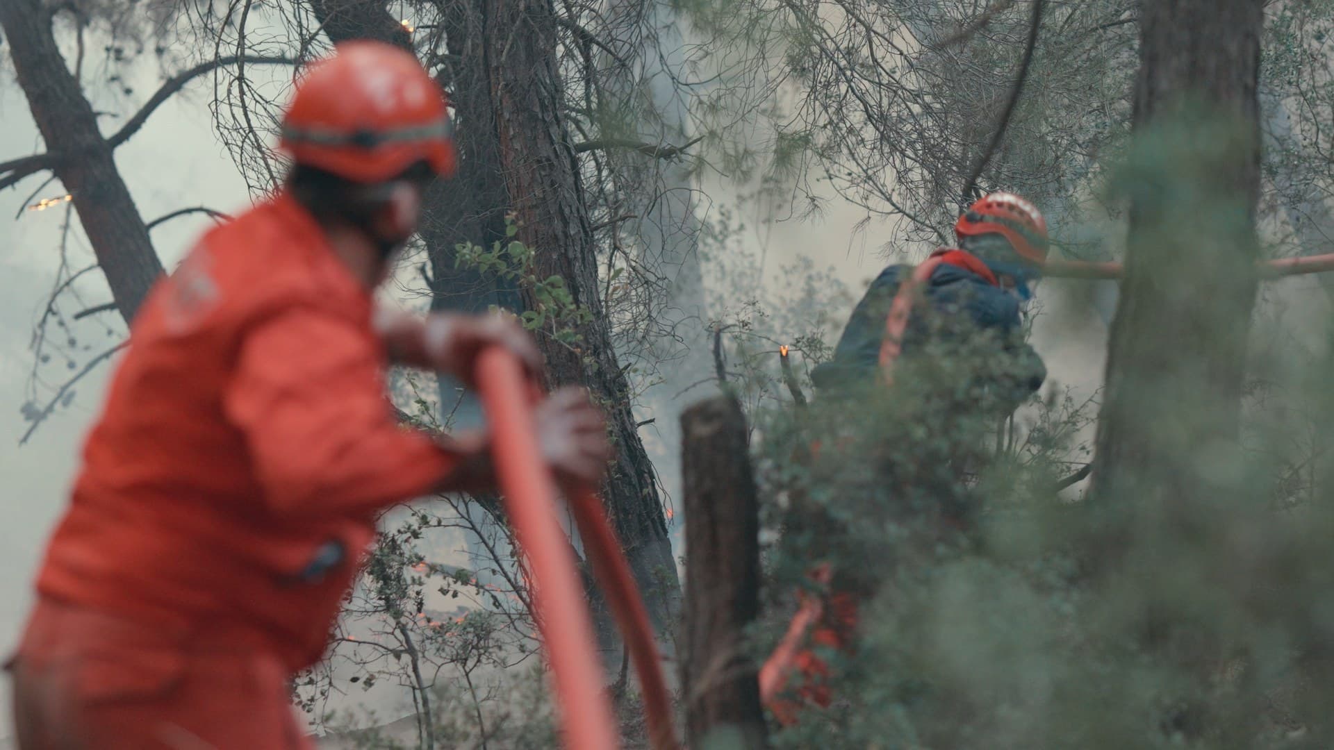 From Ashes Episode 1 — film still 1