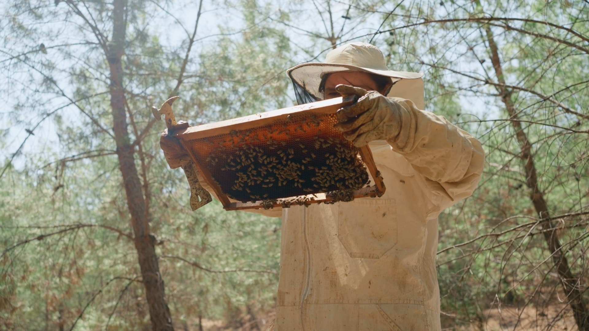 From Ashes Episode 1 — film still 2