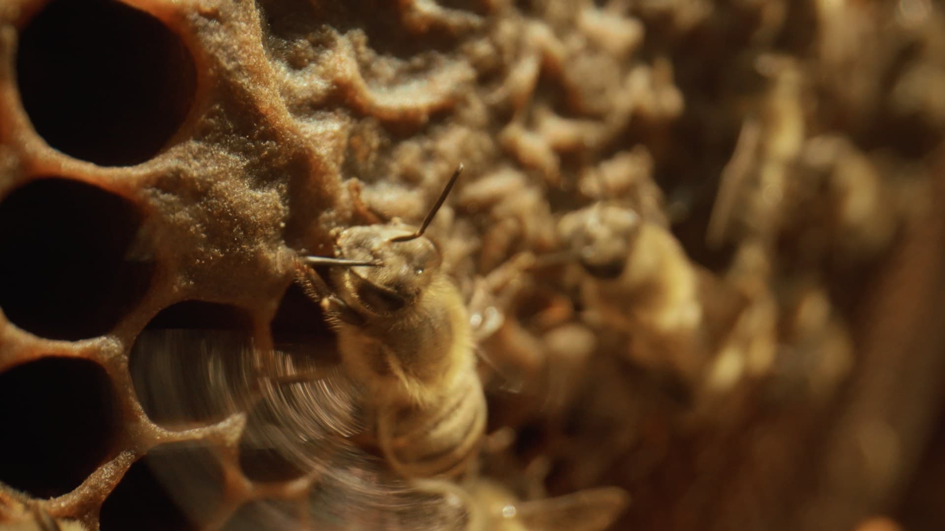 From Ashes Episode 1 — film still 5