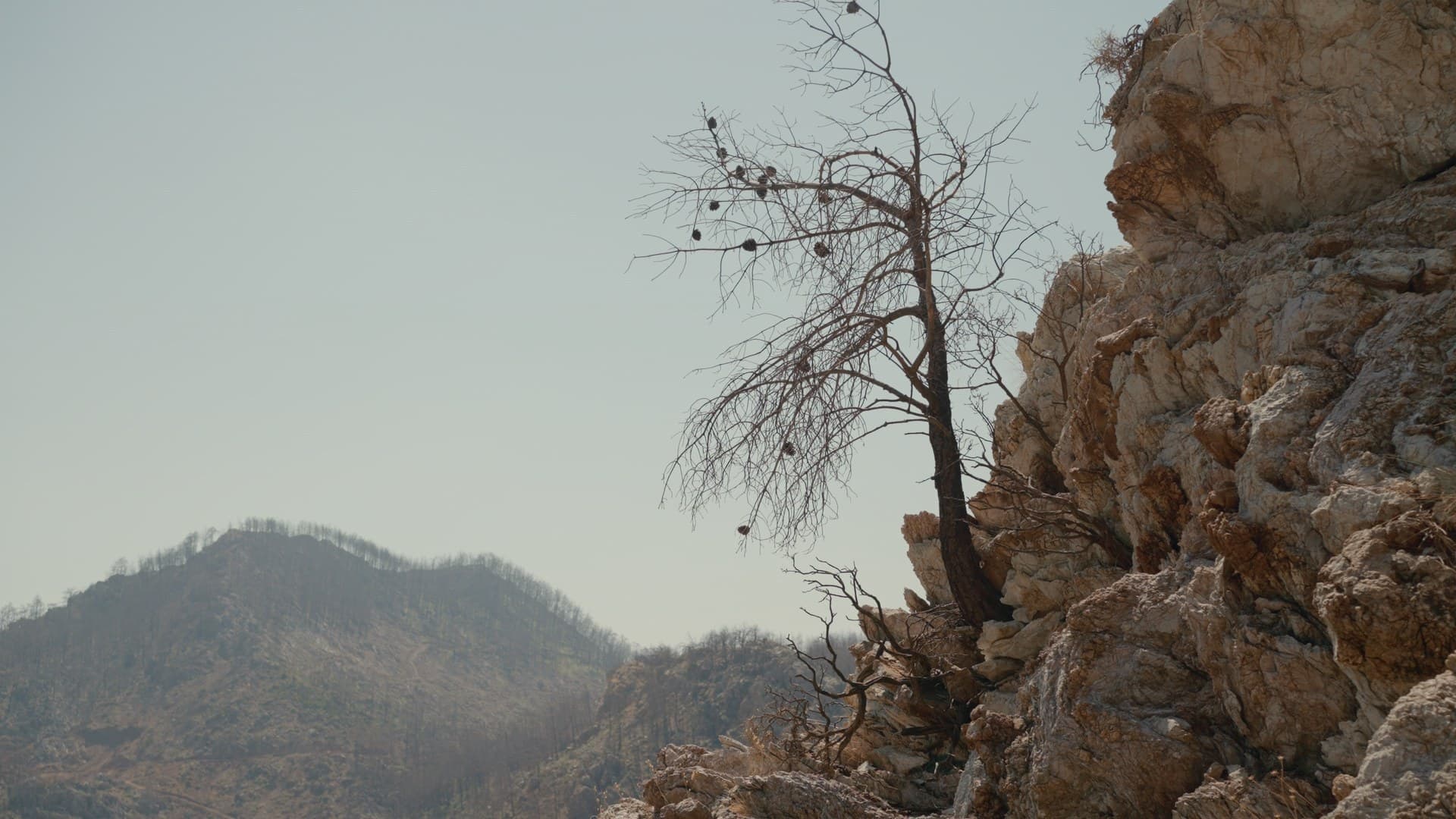From Ashes Episode 1 — film still 9
