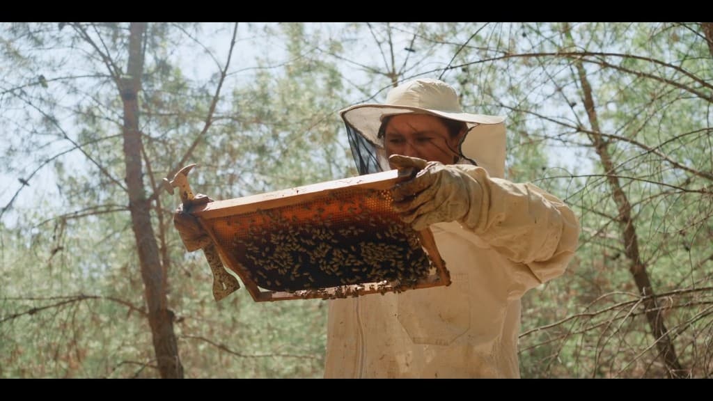 From Ashes Part I — film still 2