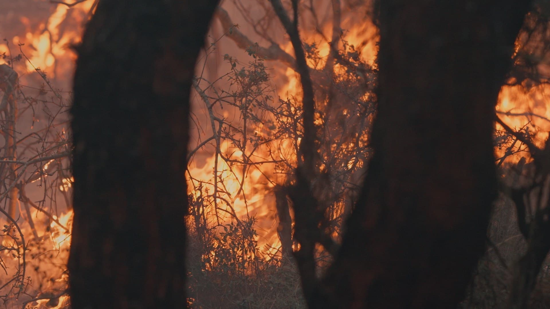 From Ashes Episode 2 — film still 3