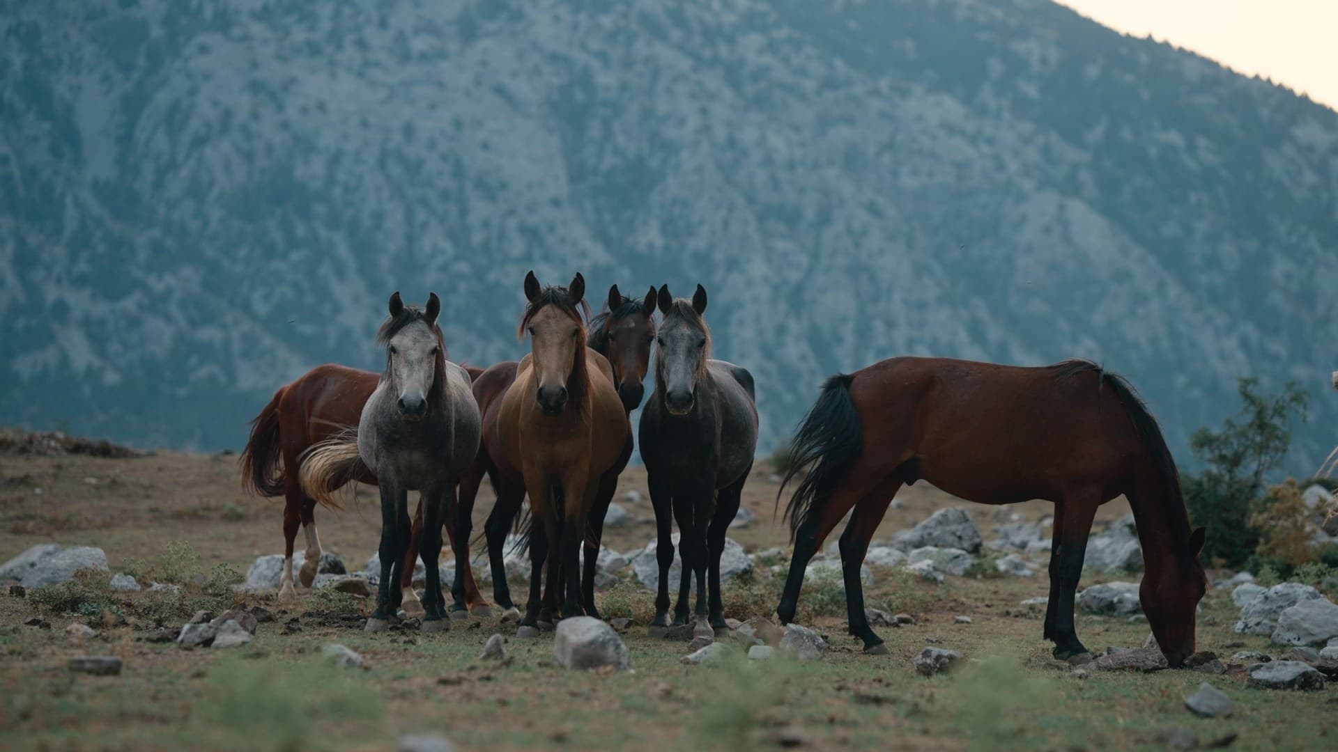 From Ashes Episode 2 — film still 8