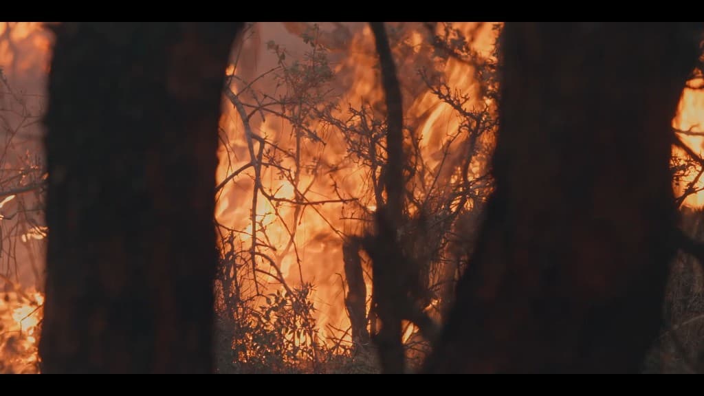 From Ashes Part II — film still 3