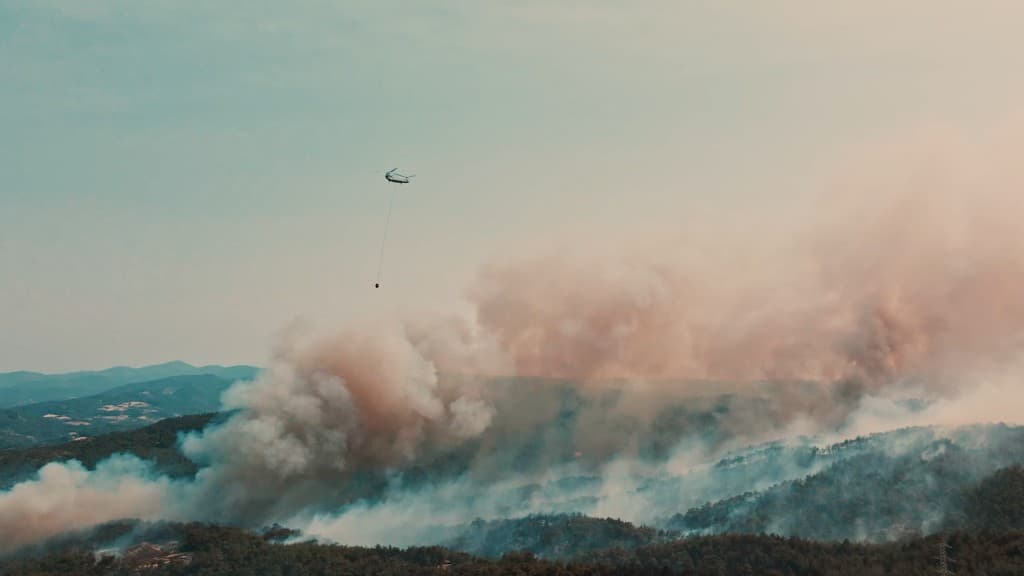 From Ashes Part II — film still 6