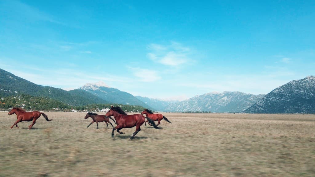 From Ashes Part II — film still 8